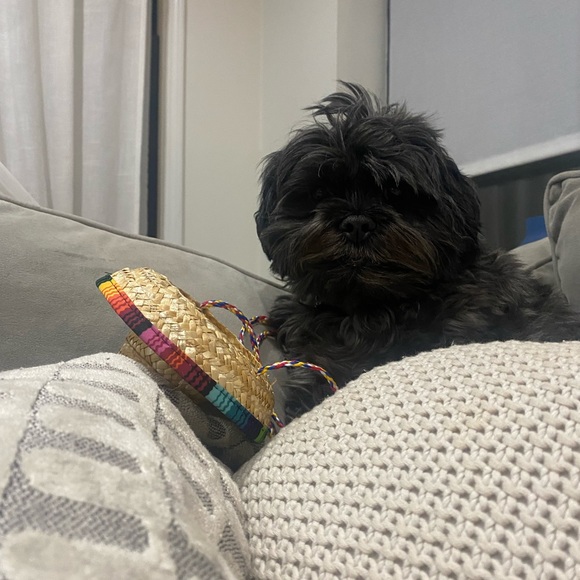 Meet your Posher, Danielle - Picture 3 of 3